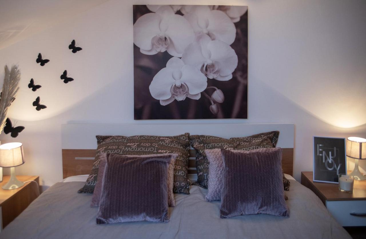 Large Specious Appartement Pula