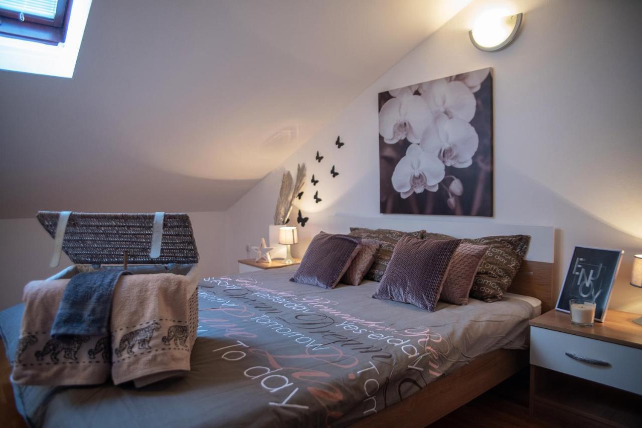 Appartement Large Specious *