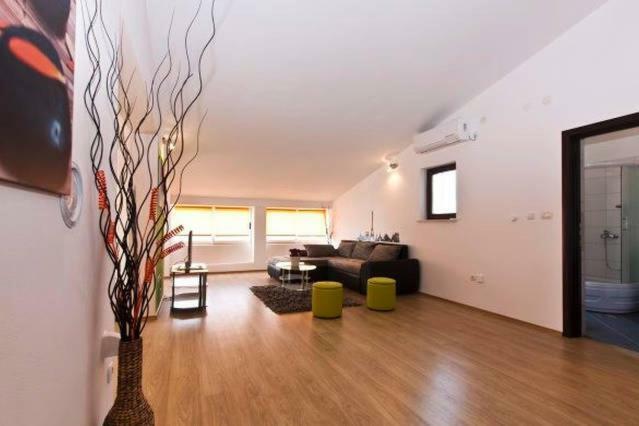 Appartement Large Specious *